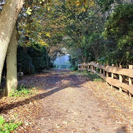 Casa vacanze Ruhe Unter Reet-haus Mit Sauna, Whirlpool Und Kamin *